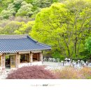 (주) 승병 네이버블로그