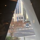 여의도디저트맛집:: 말캉푸딩 내돈내산 후기 &#39;바이러닉 에스프레소 바 여의도점&#39;