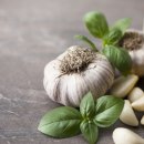 마늘각시 이미지