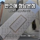 청담예물샵 반조애 웨딩밴드 투어 후기 (가격, 할인,견적 공유 O)