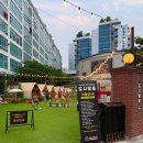 안양 | 안양캠핑식당 애견동반식당 애견동반바베큐 도시탈출 내돈내산