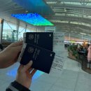 대한항공 인천 - 호주 시드니 직항 KE401 이코노미 좌석 추천, 기내식 후기