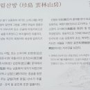 진도상설전통시장 티스토리