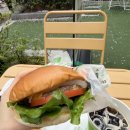 센텀SH밸리 | 부산 센텀 수제버거 맛집 프랭크버거 런치 할인 인생 치즈버거 등극한 내돈내산 후기