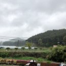 호돌이정육점 이미지