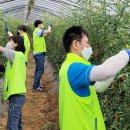 병환농장 이미지