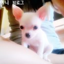 콩순이PC 이미지