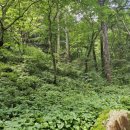 세진유치원 | 🌿 춘천 구곡폭포 후기 (아이랑 가기 좋은 힐링 코스)