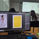 일러스트레이터 | 포토샵, 일러스트레이터 기초반에서 배움 후기!_서면