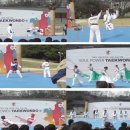 선무태권도 이미지