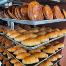 보람동_세종시청 정문2 이미지