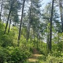 삼산2리 이미지