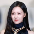 개예쁨 이미지