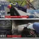 대전실내크리닝 에바크리닝 아우라광택 손세차 이미지