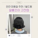 조이미용실 | 안산고잔동미용실 살롱조이 고잔점 단발빌드펌 소연실장 후기