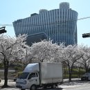 새빛 태양광발전소 이미지