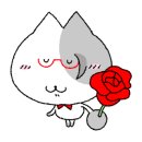 카페이아 이미지