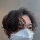 헤어트리 네이버블로그