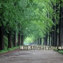 팝페라_예사롭지 않은 꽃_작사 예리 윤정화_작 편곡 수노_기획 윤기영 이미지