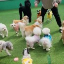 놀러왕왕왕 이미지