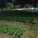 마라반장 - 동해시 효자남길 24-1 | [동해_마라반장] 동해시 마라탕/동해시 마라샹궈/동보상가 마라탕/마라반장 가격