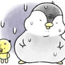 옥항아리보쌈 이미지