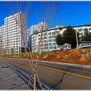 서화생활체육공원 운동장 이미지