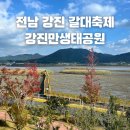 가락생태공원(2) | 강진만 생태공원 갈대 축제 방문 후기 애견동반 전남 여행