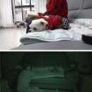 다솜이농장 스포츠한국
