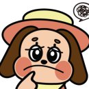나지금제주 이미지