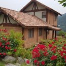 강빛사랑 이미지