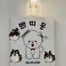 세븐일레븐부산수영미광점 | [부산 수영]예민보스 장모치와와 미용 후기, 광안리애견미용 쁘띠몽