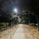 다이어메이커 이미지