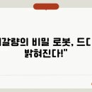 유마죠