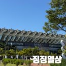 김공뇽김밥 | 10월 1박2일 나홀로 서울 나들이 징징일상
