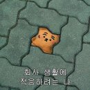 앤유PC 대전중촌점 | 먹기만하다 끝난 연휴, 다욧 임얼젼씨🚨🤮