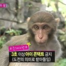 천수만수