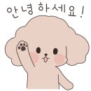 수퍼마켓플라워 이미지