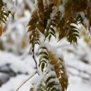 (주)여명산업 | 여명일기(3)
