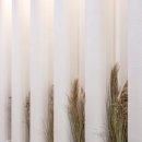 아이보리소아청소년과의원 이미지