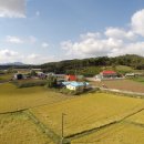 왕매실마을 이미지