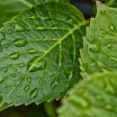 해원초등학교 이미지