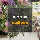 제16회 대구꽃박람회 방문 후기, 여기가 포토존!!!