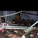 제연농장 이미지