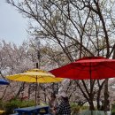 최영자농장 이미지