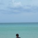 스테이 달 ring 이미지