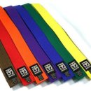 보라태권도 이미지