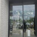 제주웨스트 | 제주 대형카페 고양이가 있는 카페 웨스트그라운드 온실 내돈내산 솔직후기