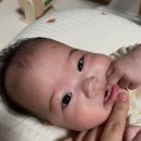 한수 소프트 | 육아일기 | 100일의 기적 ? 135일까지 이야기