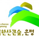 금평개발